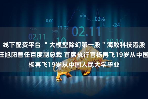 线下配资平台 ＂大模型除幻第一股＂海致科技港股IPO：董事长任旭阳曾任百度副总裁 首席执行官杨再飞19岁从中国人民大学毕业