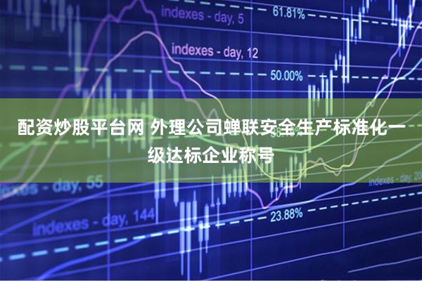 配资炒股平台网 外理公司蝉联安全生产标准化一级达标企业称号