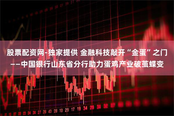 股票配资网-独家提供 金融科技敲开“金蛋”之门——中国银行山东省分行助力蛋鸡产业破茧蝶变