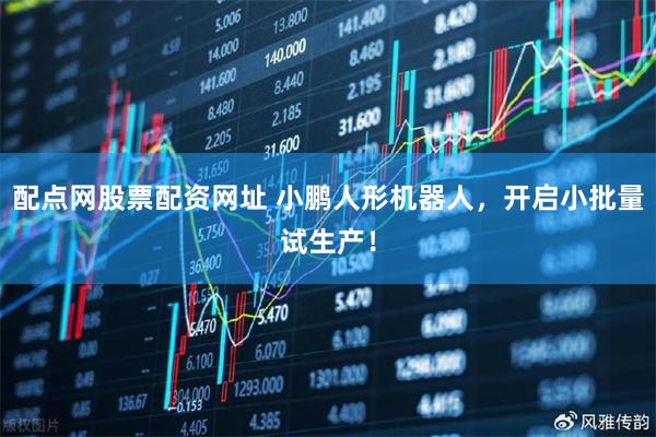配点网股票配资网址 小鹏人形机器人，开启小批量试生产！